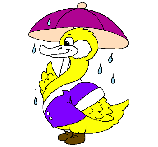 Pato sob a chuva
