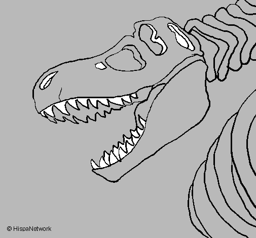 Desenho Esqueleto tiranossauro rex pintado por machadinho