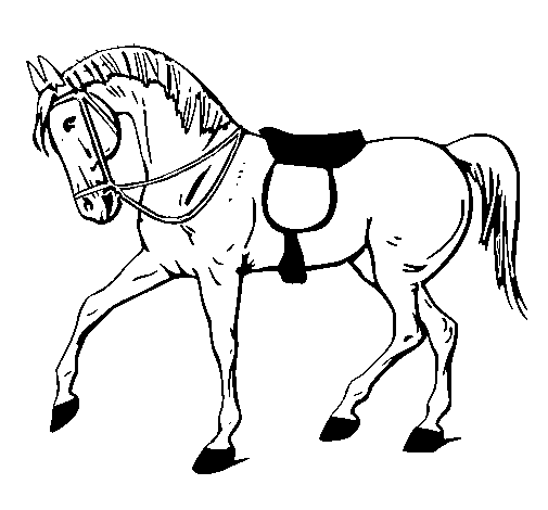 Como desenhar um cavalo png