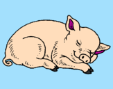 Desenho Porco a dormir pintado por millena