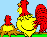 Desenho Galo e galinha pintado por rafael