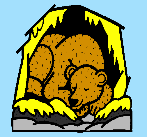 Urso a hibernar