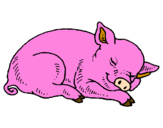 Desenho Porco a dormir pintado por joana