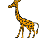 Desenho Girafa pintado por brenda