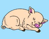 Desenho Porco a dormir pintado por victoria   maraia