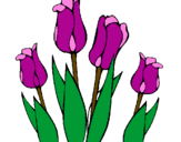 Desenho Tulipa pintado por Ester