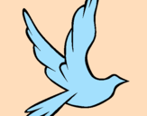 Desenho Pomba da paz a voar pintado por JOAO