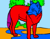 Desenho Lobo pintado por gui