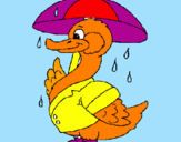 Desenho Pato sob a chuva pintado por GEDEÃO