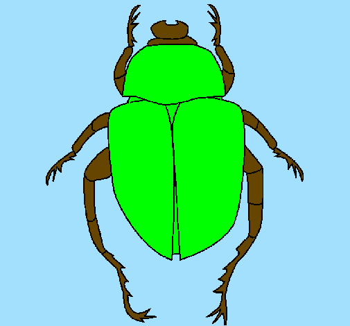Escaravelho