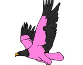 Desenho Águia a voar pintado por Hanna como aguia