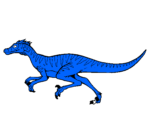 Desenho De Velociraptor Pintado E Colorido Por Usuario Nao Registrado O Dia 23 De Dezembro Do 10