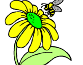 Desenho Margarida com abelha pintado por eu