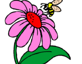Desenho Margarida com abelha pintado por MiMi E tEtE aS gAtInHaS