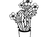 Desenho Flores de cacto pintado por ula
