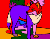 Desenho Lobo pintado por balat