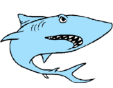 Desenho Tubarão pintado por Gustavo