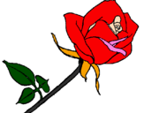 Desenho Rosa pintado por Thays souza