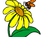 Desenho Margarida com abelha pintado por be