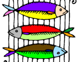Desenho Peixe pintado por peixe bom