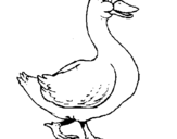 Desenho Pato pintado por sara