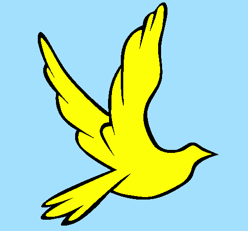 Desenho Pomba da paz a voar pintado por manuela