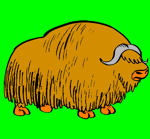 Bisonte 