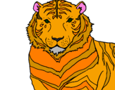 Desenho Tigre pintado por maria