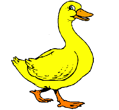 Desenho Pato pintado por pato