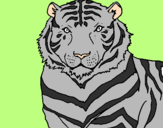 Desenho Tigre pintado por animalis