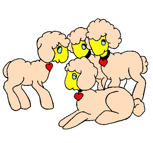 Desenho Ovelhas pintado por ovelhas