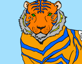 Desenho Tigre pintado por JP