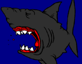 Desenho Tubarão pintado por baleia azul