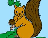 Desenho Esquilo pintado por gustavo