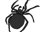 Desenho Aranha venenosa pintado por aranha