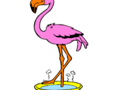Desenho Flamingo com os pés de molho pintado por eva