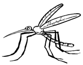 Desenho Mosquito pintado por ana julia