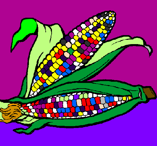 Desenho Espiga de milho  pintado por milho restart