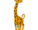 Desenho Girafa pintado por galo