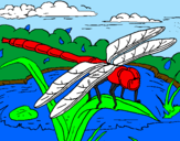 Desenho Libélula pintado por libelula