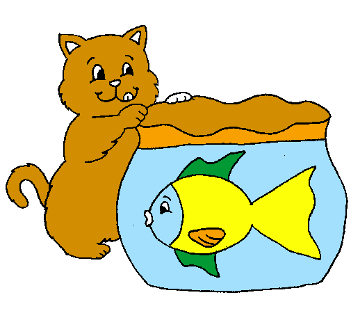 Gato e peixe