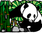 Desenho Urso panda e bambu pintado por Lalapou