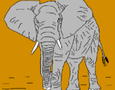Desenho Elefante pintado por tata