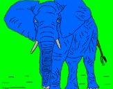 Desenho Elefante pintado por niccolas