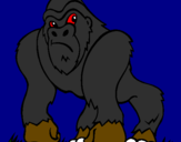Desenho Gorila pintado por Roger