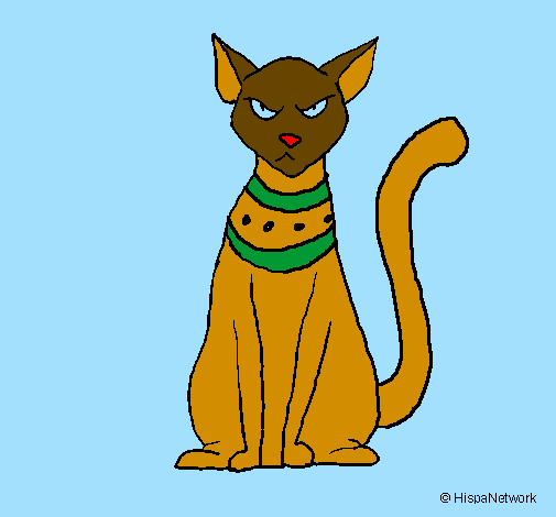 Egípcio gato