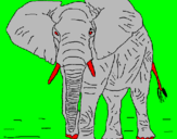 Desenho Elefante pintado por atacado