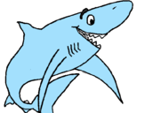Desenho Tiburão alegre pintado por LUCAS
