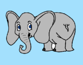 Desenho Elefante pequeno pintado por joão