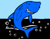 Desenho Tubarão pintado por gringo